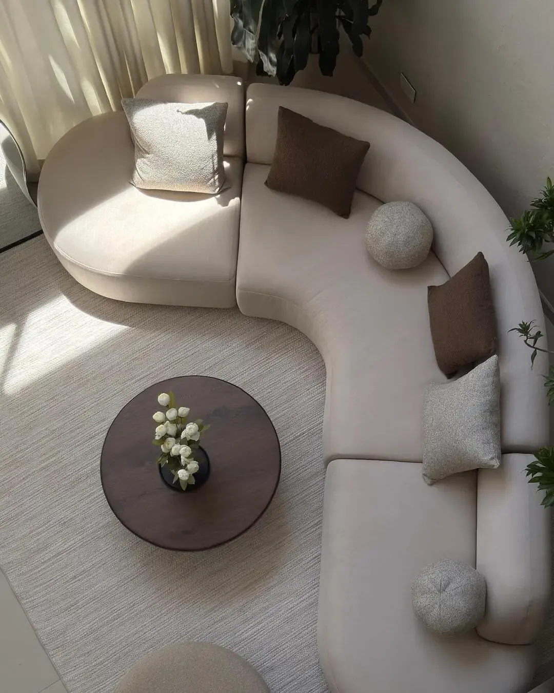 Overhead view of curved living room with enveloping sofa, coffee table, and natural light.